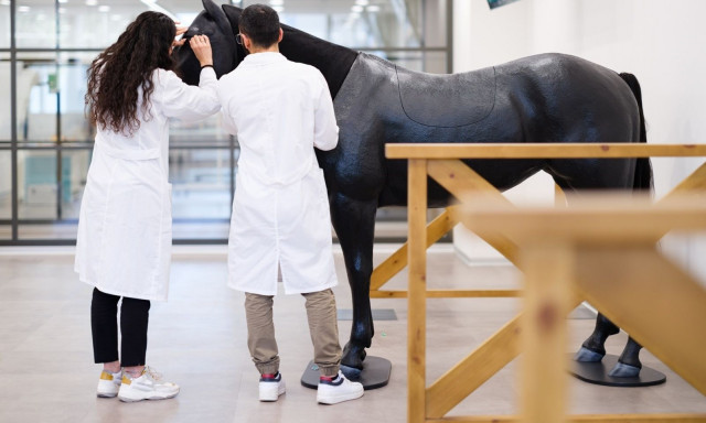 Καινοτόμες Προσεγγίσεις για την Υγεία Ζώων: Σπουδές Κτηνιατρικής στο Ευρωπαϊκό Πανεπιστήμιο Κύπρου