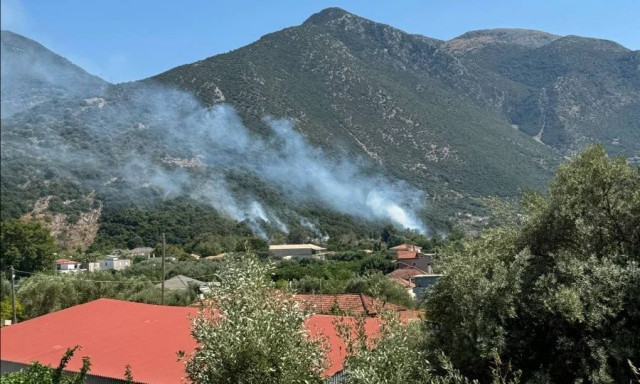 Θεσπρωτία: Φωτιά στην περιοχή Γλυκή – Ήχησε το «112»