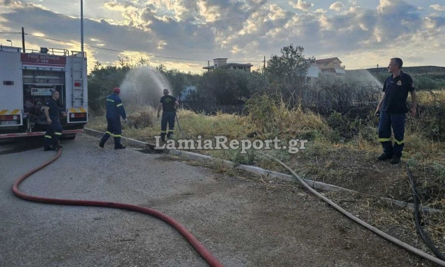 Λαμία: Φωτιά τώρα στη Νέα Μαγνησία - Καίει κοντά σε σπίτια