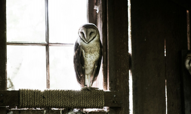 Σοφές παροιμίες: 7 συμβουλές ηλικιωμένων προς τους νεότερους