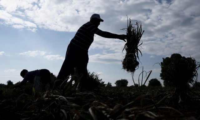 ΟΠΕΚΕΠΕ: Διαψεύδει για τα «κόκκινα» αγροτεμάχια – «Δεν επηρεάζεται η πληρωμή της βασικής ενίσχυσης»
