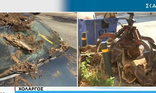 Χολαργός: Κορμός δέντρου καταπλάκωσε αυτοκίνητο σε κεντρικό δρόμο