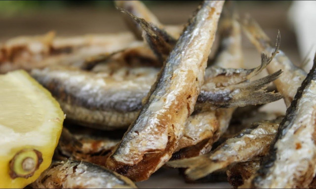 Ποια ψάρια δεν πρέπει να τρώμε το καλοκαίρι: Ο απόλυτος οδηγός