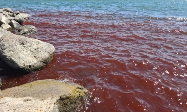 Ισραήλ: Κοκκίνισαν τα νερά της Θάλασσας της Γαλιλαίας – Δείτε βίντεο