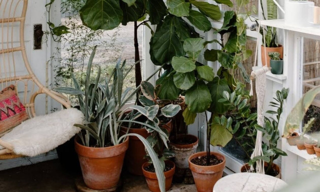 Έξυπνο κόλπο: Πώς να μη σας μαραθούν τα φυτά στο σπίτι ενώ είστε διακοπές