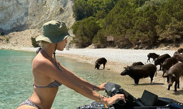 Αλεξανδράκη και Παναγιώταρου κολύμπησαν με γουρουνάκια στην Ιθάκη - Τα βίντεο που έγιναν viral