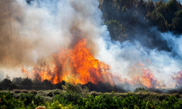 Πυρκαγιά στην Ισπανία: Σε συναγερμό η Ανδαλουσία - Εκκενώθηκαν ξενοδοχεία και κατασκηνώσεις