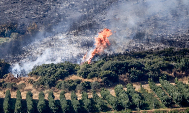 Κάρυστος: Τέθηκε άμεσα υπό έλεγχο φωτιά που ξέσπασε σε ελαιώνα