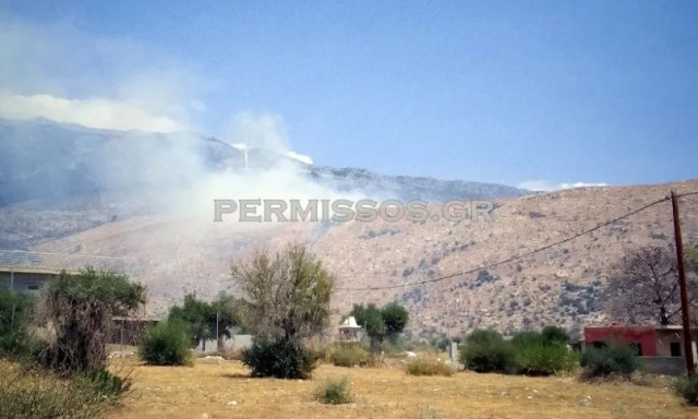 Μαίνεται η φωτιά στη Βοιωτία: Ήχησε το «112»