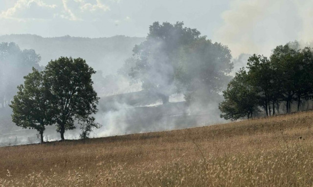 Λάρισα: Συναγερμός για πυρκαγιά σε αγροτικές εκτάσεις ανάμεσα σε Βούναινα και Μικρό Βουνό