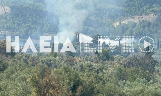 Αναζωπύρωση της φωτιάς στο Χελιδόνι Αρχαίας Ολυμπίας