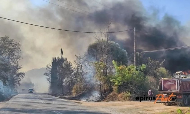 Πύρινος εφιάλτης στην Πρέβεζα: Πολλαπλές πυρκαγιές ξέσπασαν σχεδόν ταυτόχρονα