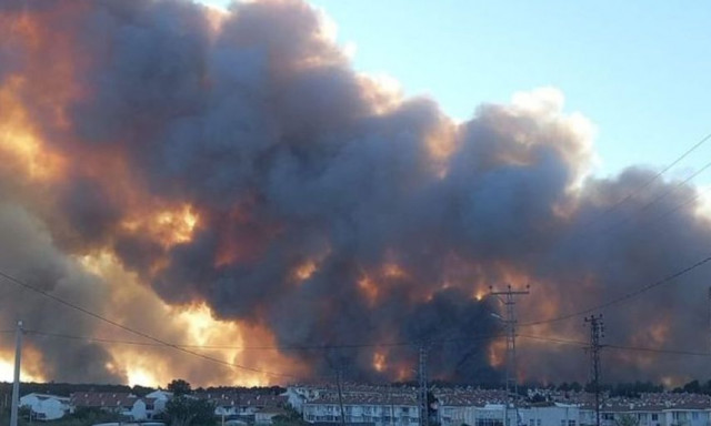 Τουρκία - Φωτιά στην Ανδριανούπολη: Ο άνεμος μπορεί να μεταφέρει τις φλόγες στα σύνορα με την Ελλάδα