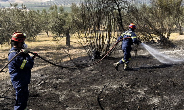 Φωτιά: Σε ύφεση σε Καλλιτεχνούπολη, Βόλβη, Πετράλωνα Μεσσηνίας