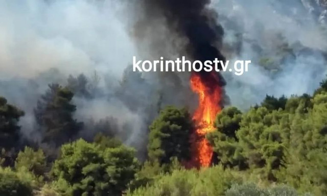 Δασική πυρκαγιά στην Αρχαία Νεμέα - Επιχειρούν 7 εναέρια, ήχησε το 112 για εκκένωση