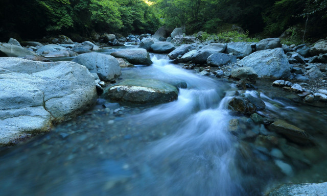 ΗΠΑ: Ήρωες-ναυαγοσώστες έσωσαν μητέρα με τον 7χρονο γιο της από πνιγμό