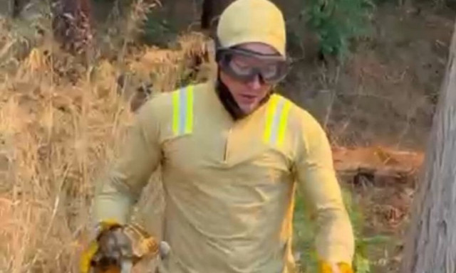 Φωτιά στην Τουρκία: Η στιγμή που πυροσβέστης σώζει χελώνα από τις φλόγες