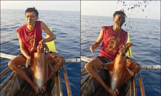 Η εκδίκηση της... σουπιάς: «Έλουσε» ψαρά με μελάνι στις Φιλιππίνες - Δείτε το viral βίντεο