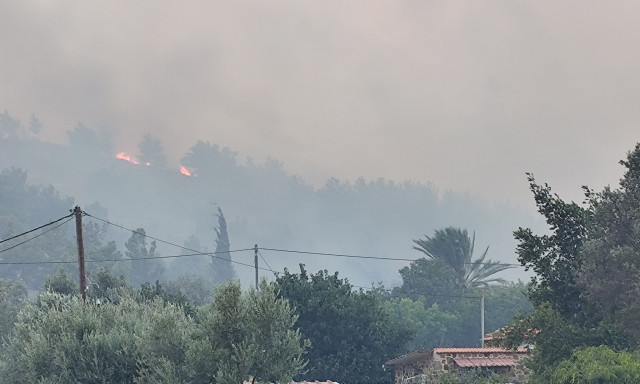 Φωτιά και καταστροφή στη Χίο: «Μας άφησαν χωρίς ρεύμα να καούμε», λέει κάτοικος
