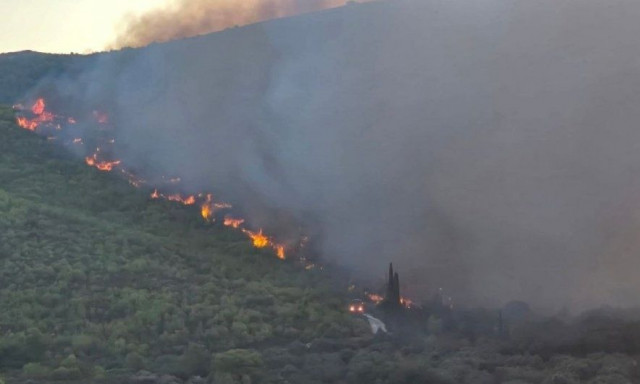 Ζάκυνθος: Άλλαξε πορεία η πυρκαγιά και κατευθύνεται προς το Κερί - Νέο μήνυμα από το 112