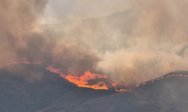 Φωτιά Χίος: Δεκάδες άνθρωποι απεγκλωβίστηκαν από παραλίες - Δείτε live την πυρκαγιά