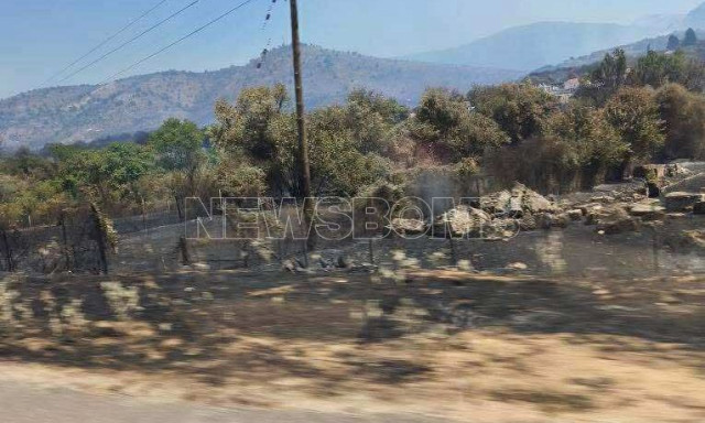 Κατεπείγουσα έρευνα για εμπρησμούς σε Ήπειρο – Παρέμβαση του Εισαγγελέα Εφετών Ιωαννίνων