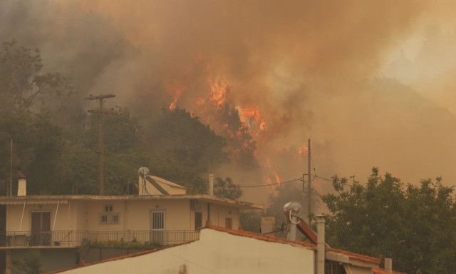 Πυροσβεστική: 30 αγροτοδασικές πυρκαγιές σημειώθηκαν το τελευταίο 24ωρο σε όλη την χώρα