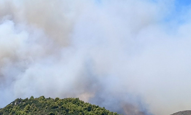 Φωτιά στη Ζάκυνθο - Μάχη με τις αναζωπυρώσεις