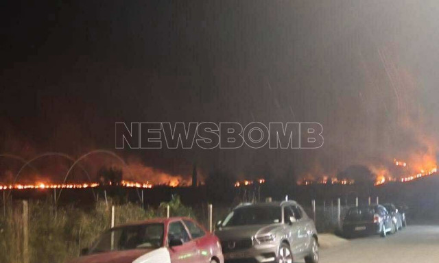 Φωτιά Πρέβεζα: Επικίνδυνο μέτωπο σε δασική έκταση - Αποκαρδιωτικές εικόνες