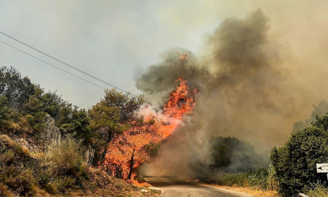 Φωτιά στα Ιωάννινα: Καλύτερη η εικόνα από το μέτωπο στον Πρωτόπαππα - Ισχυροί άνεμοι στην περιοχή