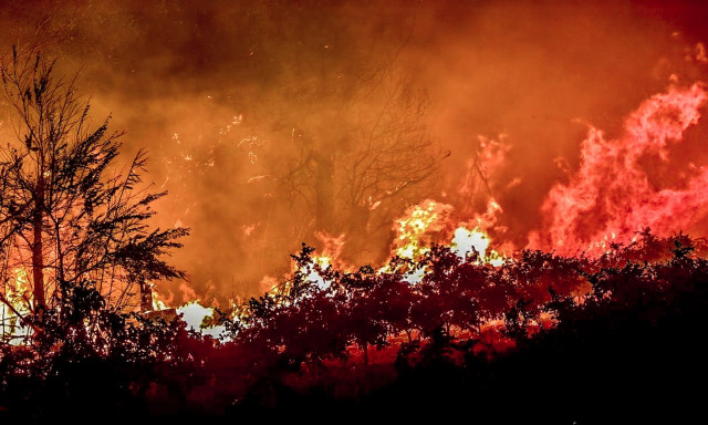 Φωτιά στην Αιτωλοακαρνανία: Εφιαλτικές εικόνες στο χωριό Σταμνά - Καμένα ελαιόδεντρα και περιβόλια