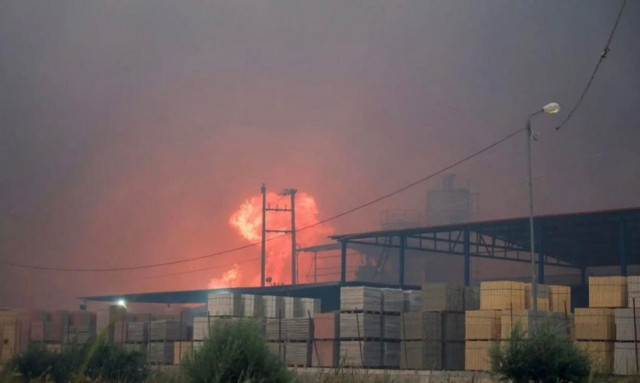 Φωτιά στην Αχαΐα: SOS από τον πρόεδρο του ΤΕΕ Δυτικής Ελλάδας μετά την καύση λιπασμάτων στη ΒΙΠΕ