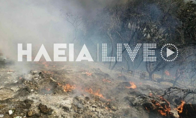 Φωτιά Ηλεία: Πυρκαγιά σε χαμηλή βλάστηση στο Καπελέτο