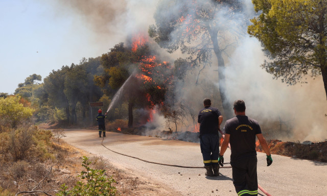 Φωτιά τώρα: Τραυματίστηκαν 15 πυροσβέστες - Συνολικά 56 διακομιδές του ΕΚΑΒ