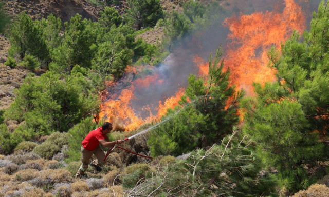 Φωτιά Χίος: Αναζωπυρώθηκε το μέτωπο - Τιτάνιες προσπάθειες πυροσβεστών, εθελοντών και κατοίκων