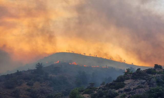 Φωτιά στη Χίο: Χωρίς ρεύμα για πολλές ημέρες τα χωριά της Αμανής – Μεγάλες ζημιές στο δίκτυο