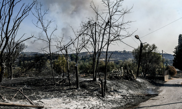 LIVE BLOG: Διάσπαρτες εστίες στην Πάτρα, καλύτερη εικόνα σε Χίο, Ζάκυνθο και Φιλιππιάδα
