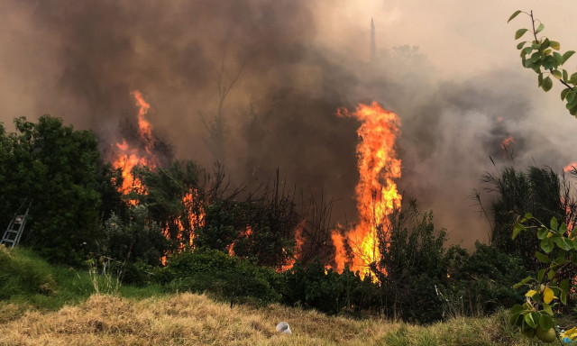 Πυροσβεστική: 42 αγροτοδασικές πυρκαγιές σημειώθηκαν το τελευταίο 24ωρο στην χώρα