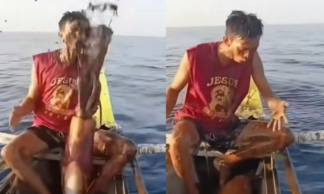 Φιλιππίνες: Καλαμάρι «έλουσε» με μελάνι ψαρά και έγινε viral στα social media - Βίντεο