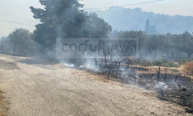 Φωτιά στις Λούτσες στην Κέρκυρα