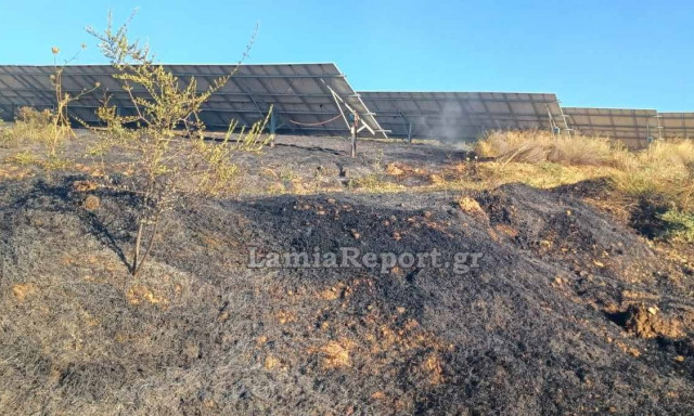 Λαμία: Φωτιά στον Άγιο Στέφανο Δομοκού κοντά σε φωτοβολταϊκά - Επιχειρούν εναέρια μέσα