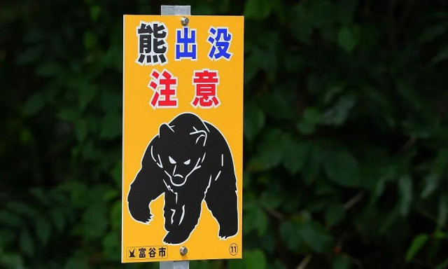 Ιαπωνία: Τη βοήθεια του στρατού για τις αυξανόμενες επιθέσεις από αρκούδες ζήτησαν τοπικές αρχές