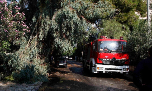 Μέτσοβο: 54χρονος καταπλακώθηκε από δέντρο – Απεγκλωβίστηκε τραυματισμένος