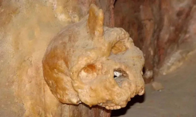 Το μυστηριώδες κρανίο 286.000 ετών που εντοπίστηκε στην Ελλάδα και δεν ανήκει σε ανθρώπινο είδος
