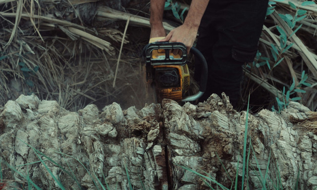 Γιάννενα: Κορμός δένδρου καταπλάκωσε ξυλοκόπο στη Χρυσοβίτσα Ιωαννίνων
