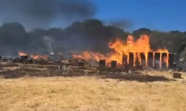 Χορτιάτης: Από μελίσσια ξεκίνησε η φωτιά - Βίντεο από την πυρκαγιά