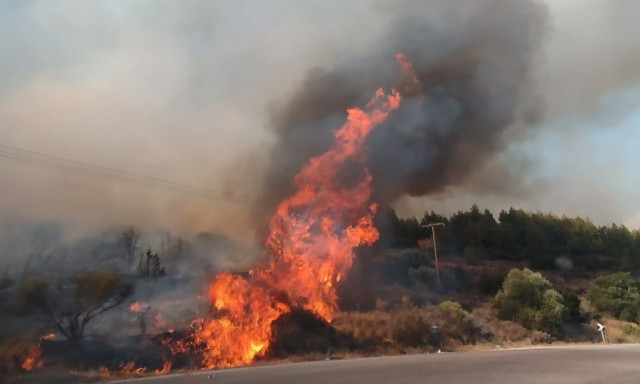 Φωτιά στον Χορτιάτη