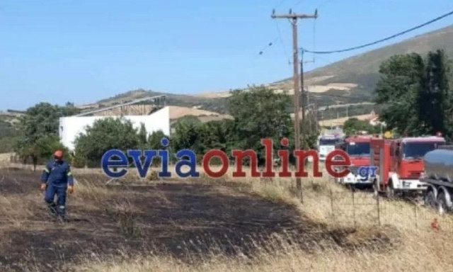 Εύβοια: Νέα έρευνα για 6 έφηβους - Εξετάζεται η συμμετοχή τους σε πυρκαγιές