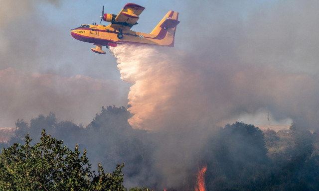 Φωτιά τώρα ανάμεσα σε Τρίκαλα και Άρτα