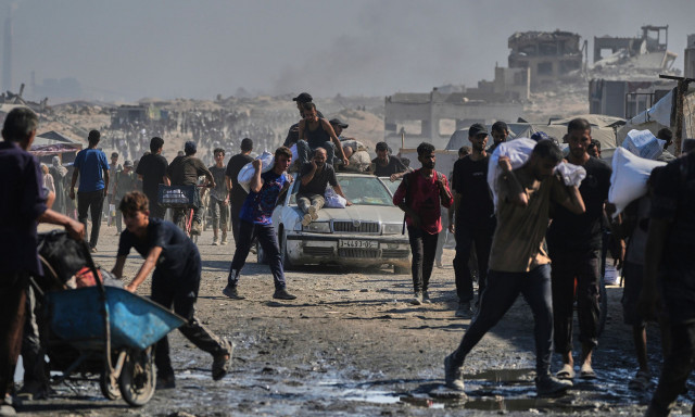 Γάζα: Ακόμα και τα σκυλιά έχουν γίνει επικίνδυνα - Τρώνε πτώματα ανθρώπων και αγριεύουν